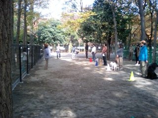 c0123890_20354671.jpg