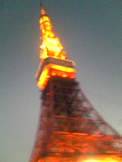 e0099291_29581.jpg