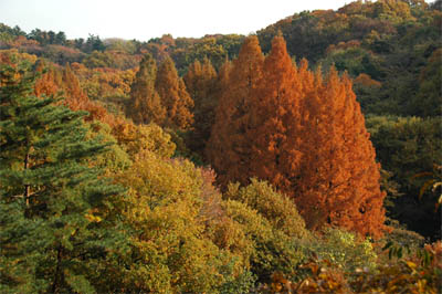 e0102491_19125050.jpg