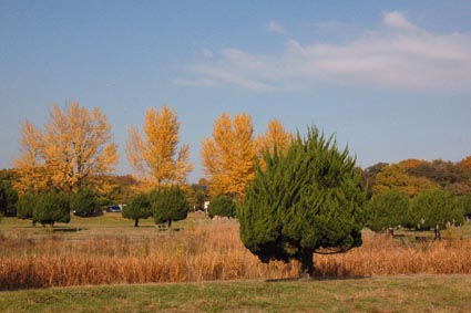 f0094391_17425826.jpg