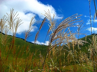c0153292_221284.jpg