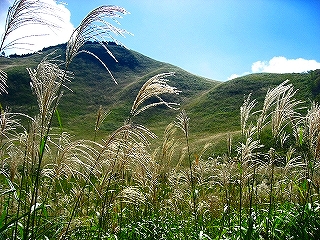 c0153292_226183.jpg