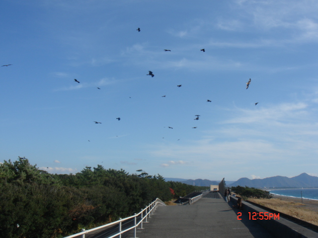 c0133096_14421940.jpg