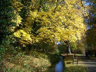 f0127098_8351199.jpg