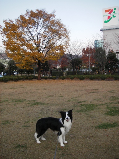 f0034602_20132879.jpg