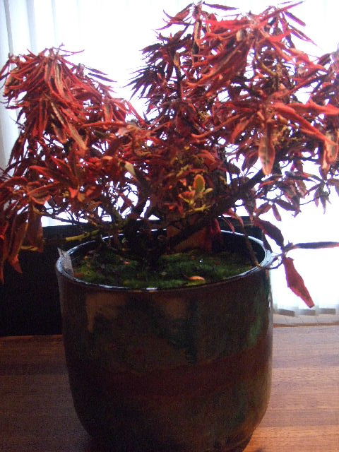 a0091907_1344941.jpg