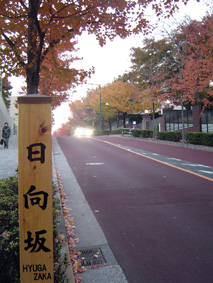 c0135618_1503035.jpg