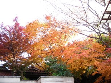 e0090719_22181930.jpg