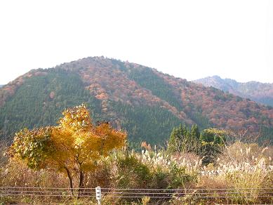 e0090719_2219298.jpg