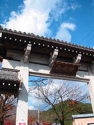 c0094621_1026474.jpg