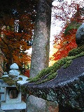 c0094621_10313100.jpg