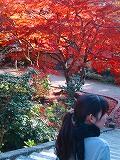 c0094621_10333465.jpg