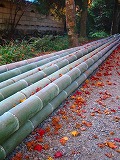 c0094621_10335387.jpg