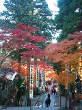 c0094621_10373254.jpg