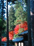 c0094621_1046923.jpg