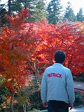 c0094621_1048280.jpg