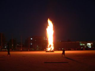 d0014524_082825.jpg