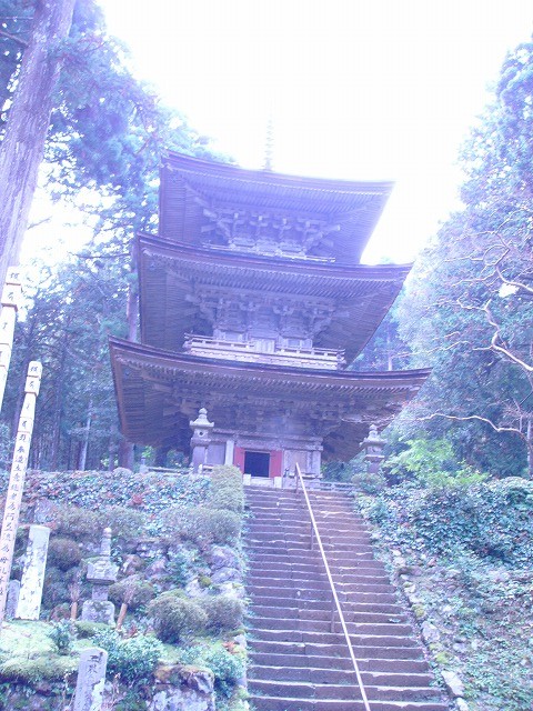 d0007830_21193877.jpg