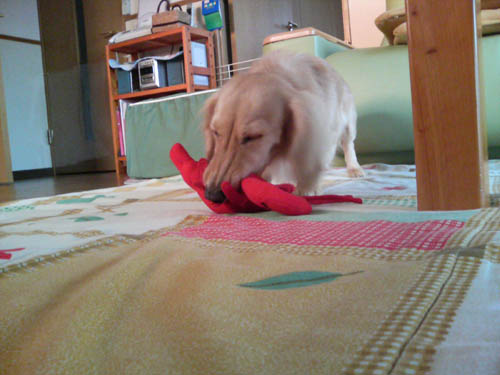 c0117831_2213226.jpg