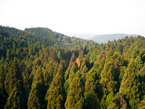 d0017632_19472186.jpg