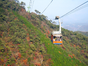 d0017632_19505386.jpg