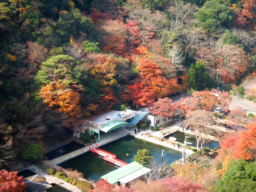 d0017632_203254.jpg