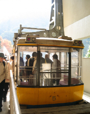 d0017632_2051493.jpg