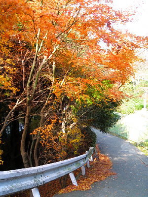 d0017632_205557.jpg