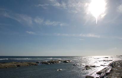 d0094333_1081977.jpg