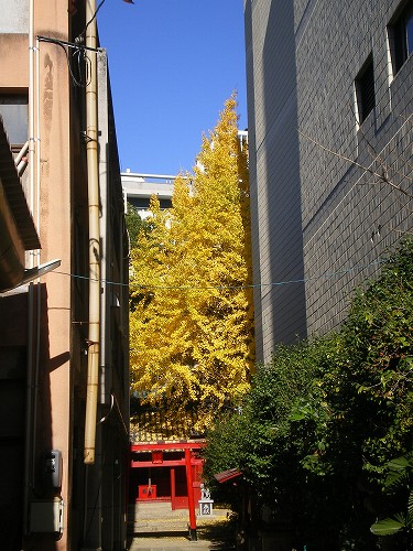 a0055835_16474439.jpg