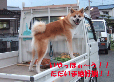 f0008935_965682.gif