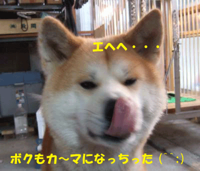 f0008935_985812.gif