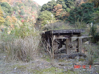 a0030639_22435584.jpg