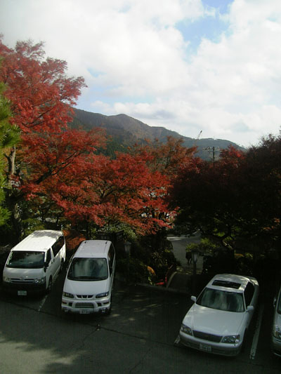 b0055939_11565765.jpg