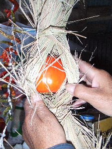 a0054240_1814285.jpg