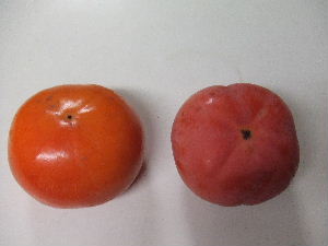 a0054240_182511.jpg