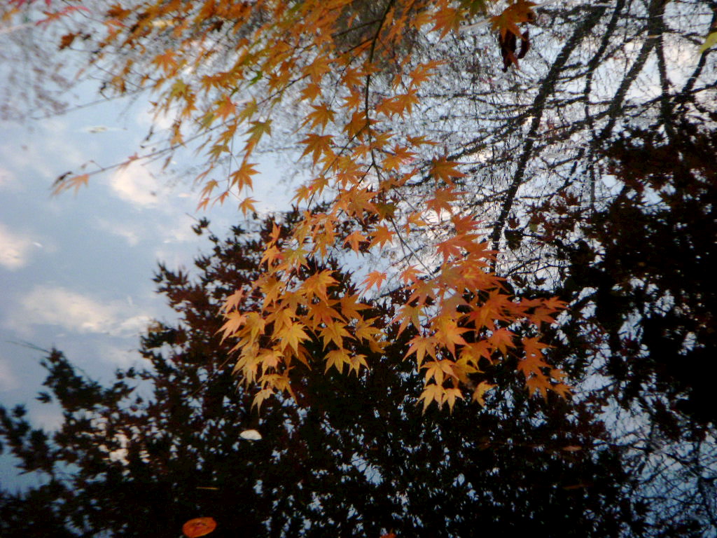 b0019140_18471881.jpg