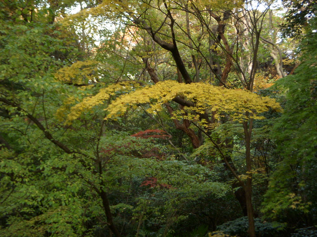 b0019140_18475439.jpg