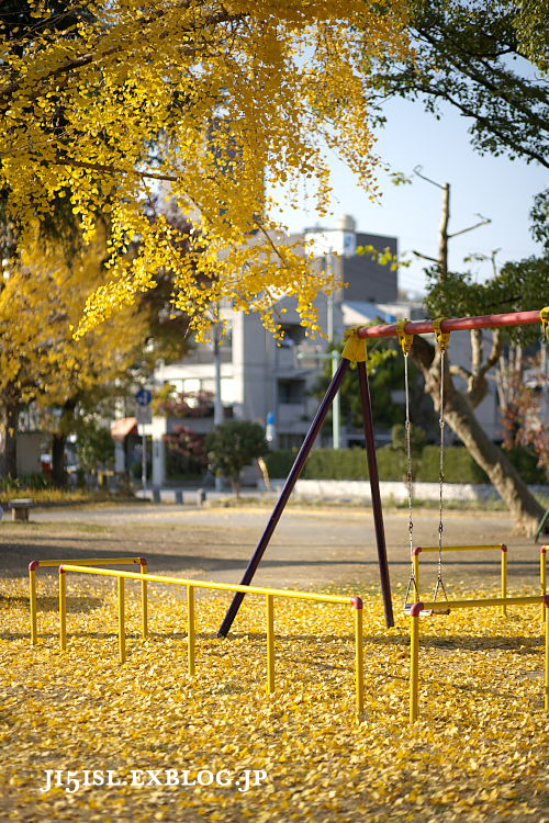 a0078341_22193055.jpg