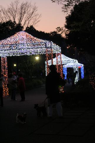 d0114646_11383730.jpg