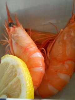 f0088647_13212979.jpg