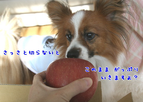 d0013149_032273.jpg