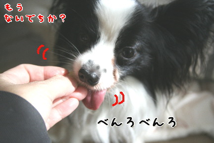 d0013149_053321.jpg