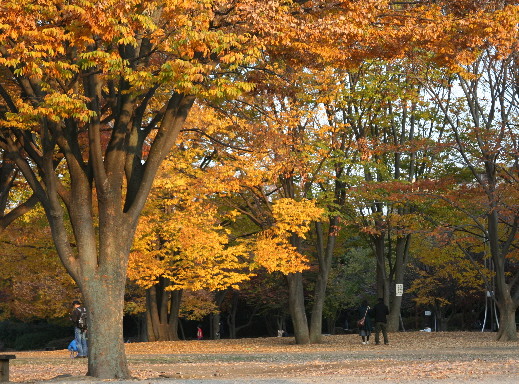d0013149_1203875.jpg
