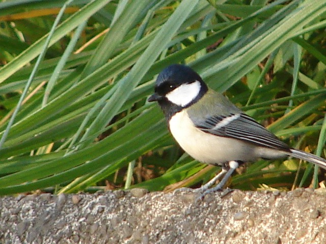 b0061261_23284928.jpg