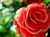 c0134861_23165663.jpg