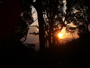 f0065162_22323754.jpg