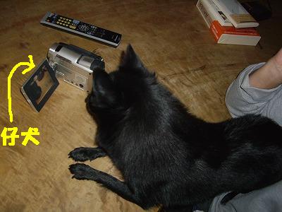 e0002466_12213243.jpg