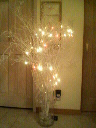 f0016868_22405386.jpg
