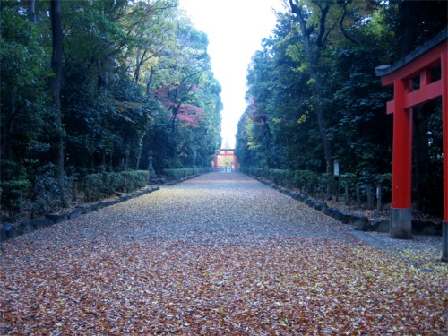 a0077673_2124934.jpg